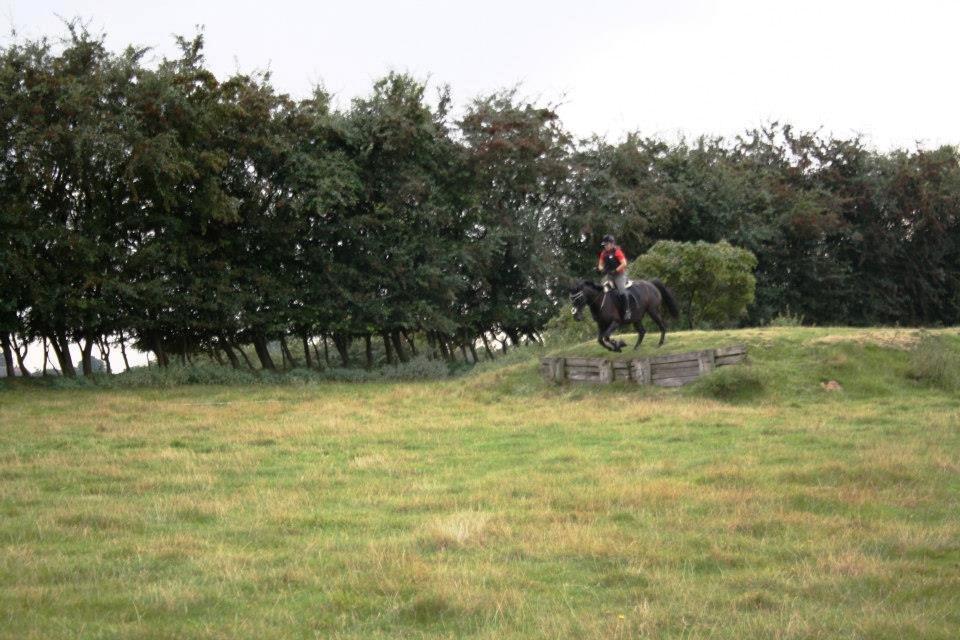 Anden særlig race IVER - 10.09.2012 På terrænbanen i Fjelsted for første gang :) <3 Her ned af banketten i fin stil! billede 8