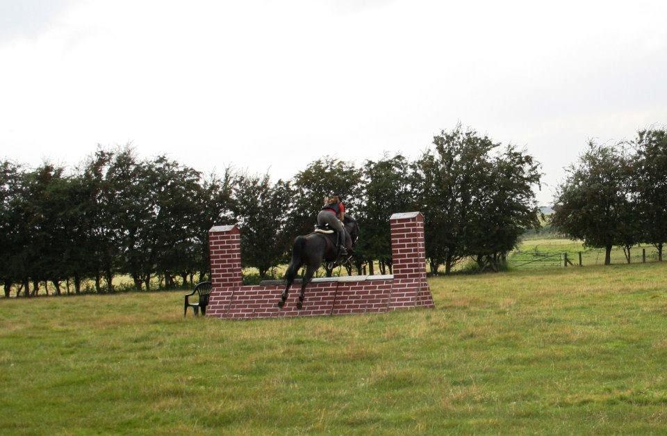 Anden særlig race IVER - 10.09.2012 Muren i flot stil og i første forsøg. :) billede 9