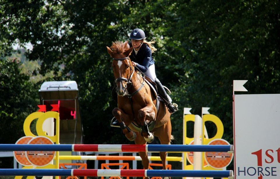 Dansk Varmblod Lathyrus RDH billede 1