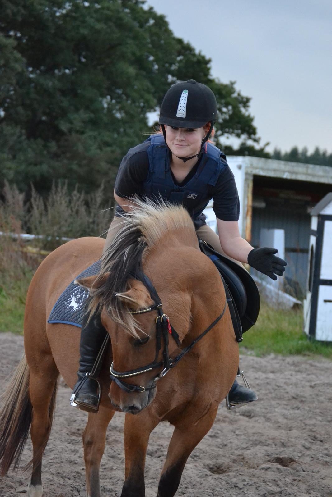 Anden særlig race Flicka RDH billede 5