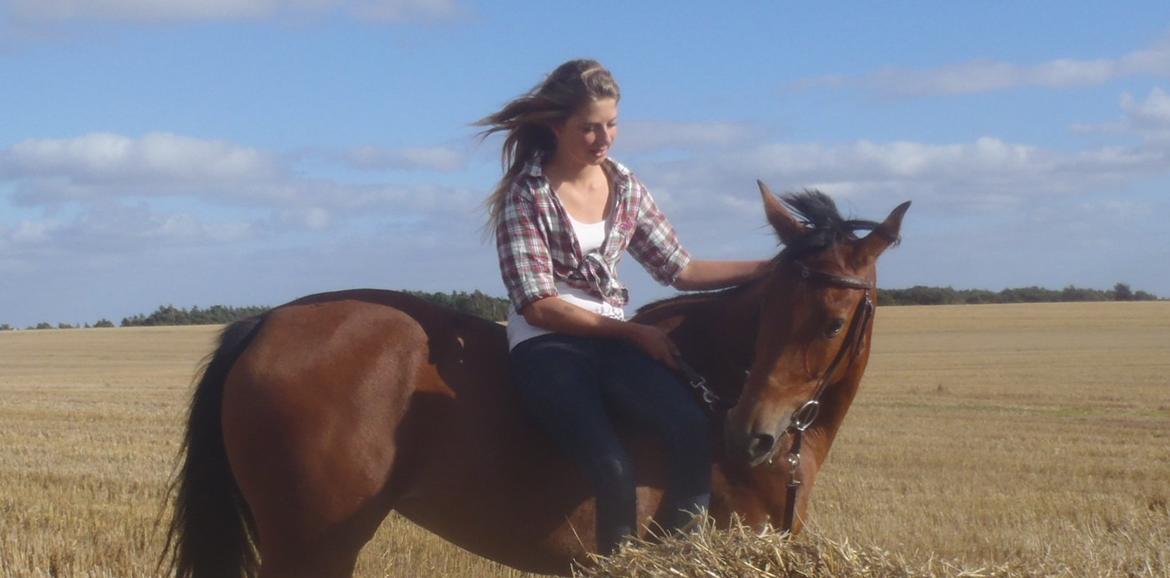 Anden særlig race Maisy billede 2