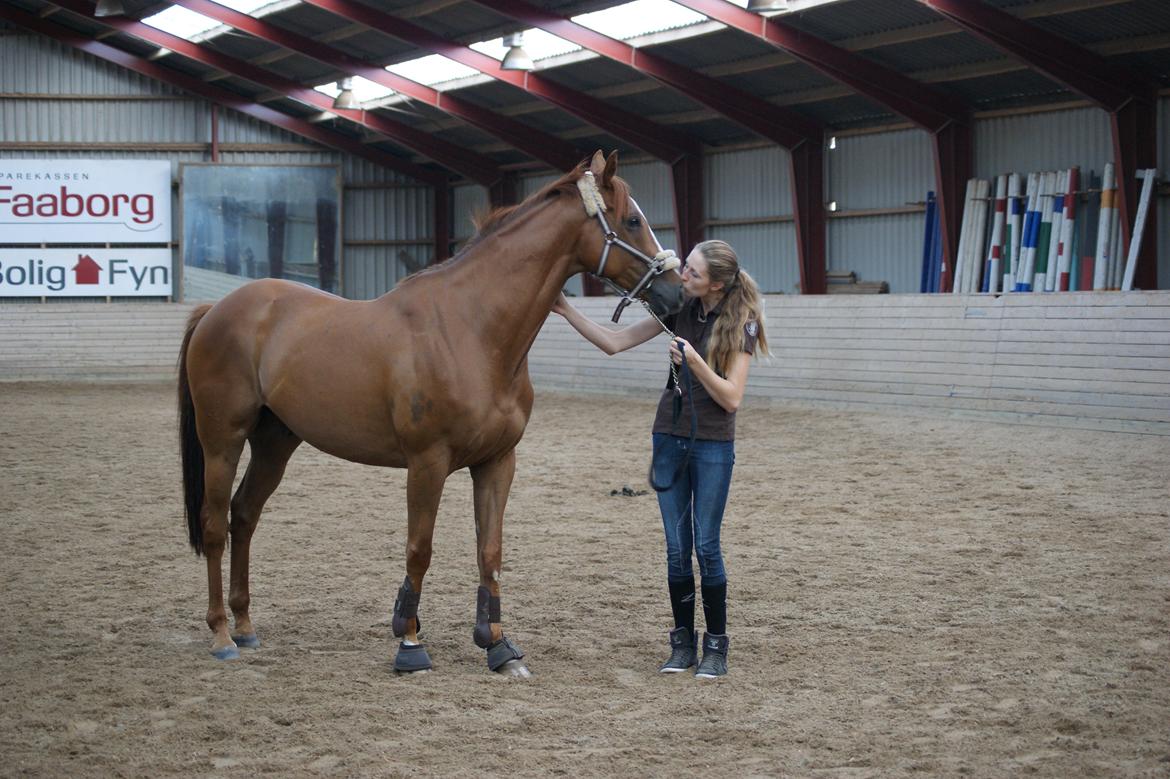 Fuldblod (XX) Cosco XX billede 9