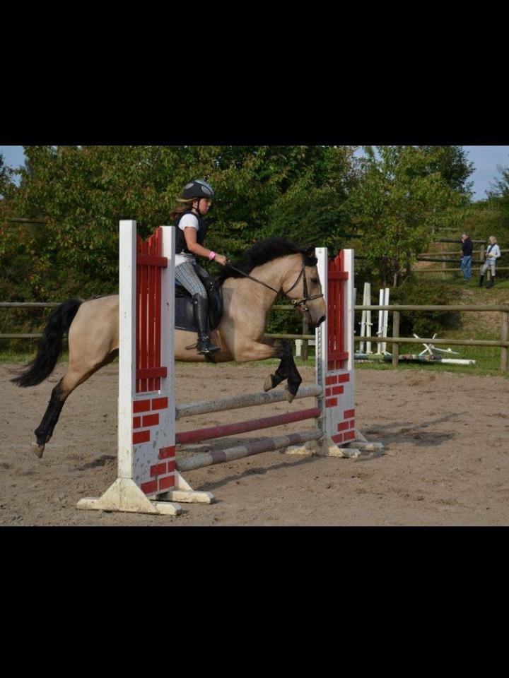 Anden særlig race Digelsgaardens Ginger(My little Girl)<3 <3 - Min lille springhest <3 billede 3