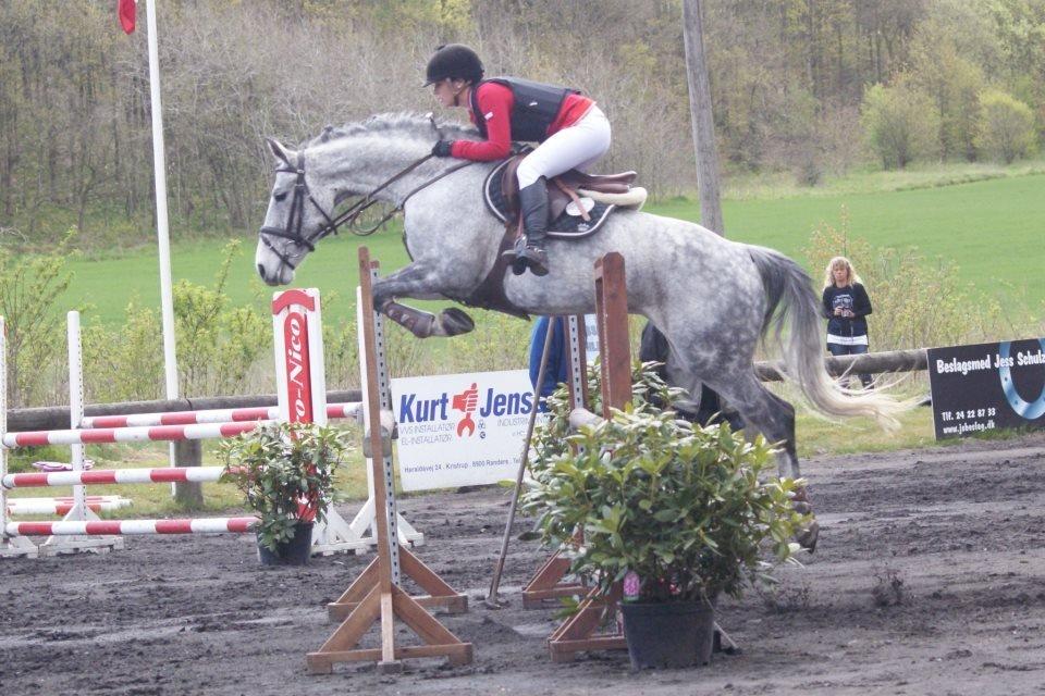 Anden særlig race Ju-Ju Gravies (solgt) billede 1