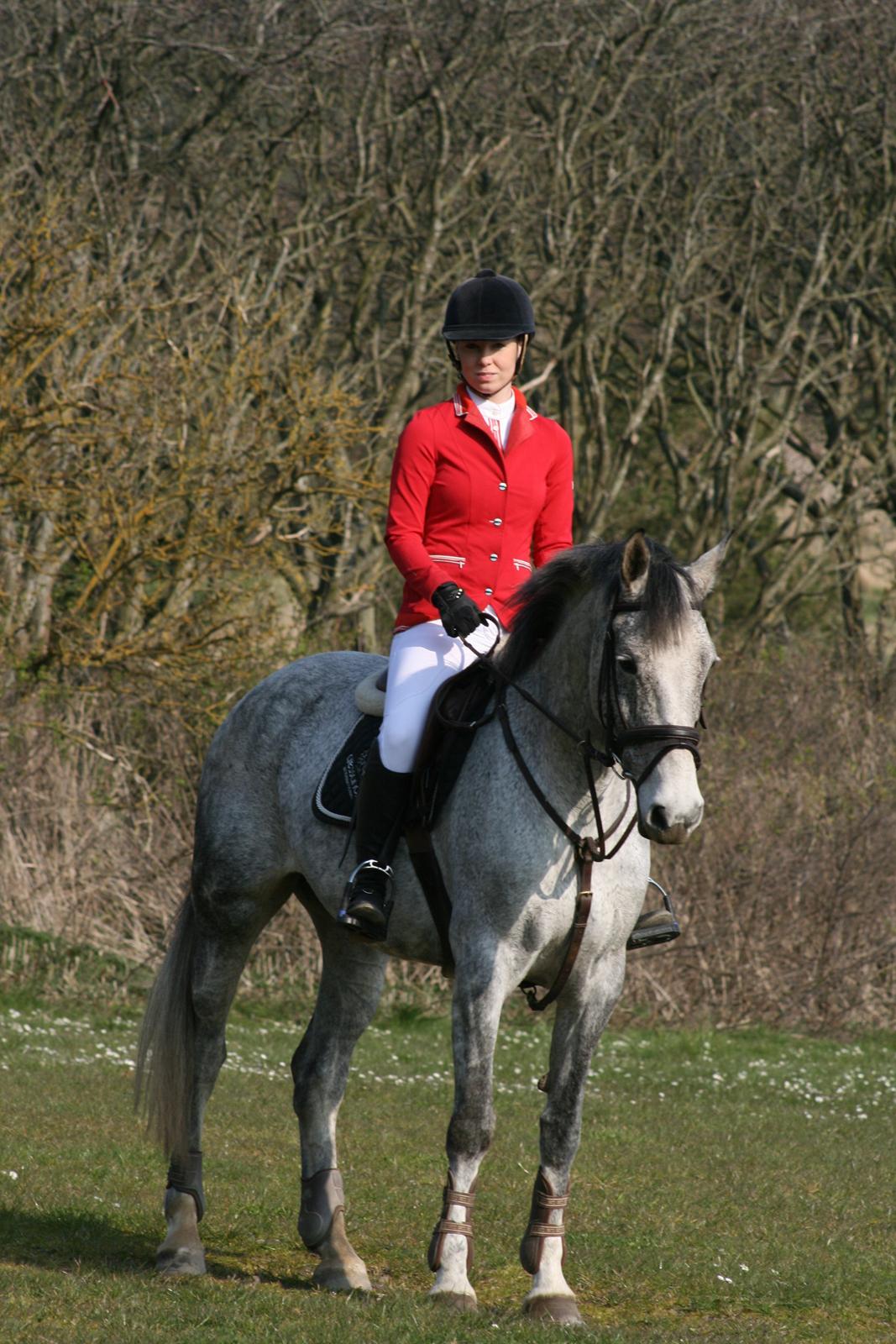 Anden særlig race Ju-Ju Gravies (solgt) billede 3