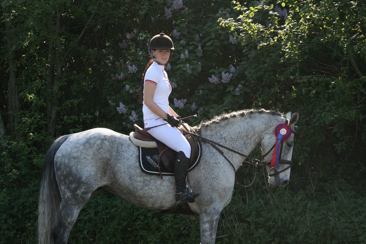 Anden særlig race Ju-Ju Gravies (solgt) billede 8