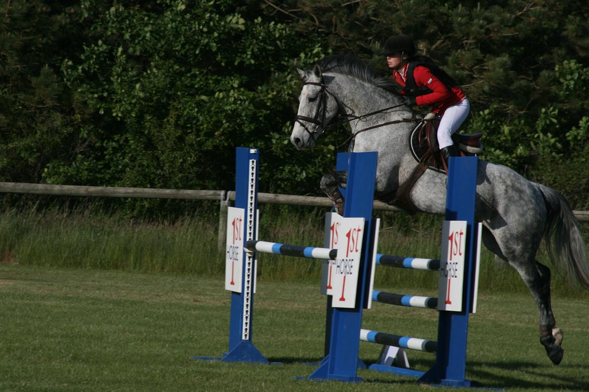 Anden særlig race Ju-Ju Gravies (solgt) billede 14