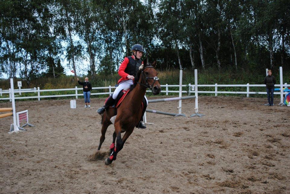 Anden særlig race Allgrea - stævne 1/9-2012 billede 13