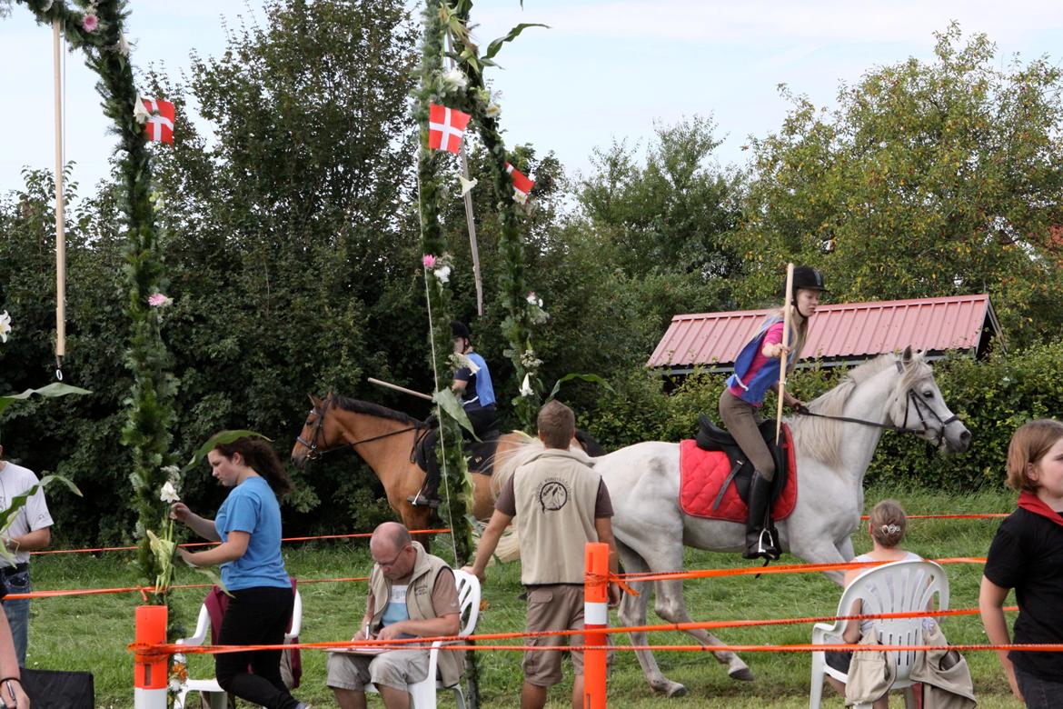 Arabisk fuldblod (OX) WISDOMS WEEDAA  - Vegger ringridning 2012 billede 7