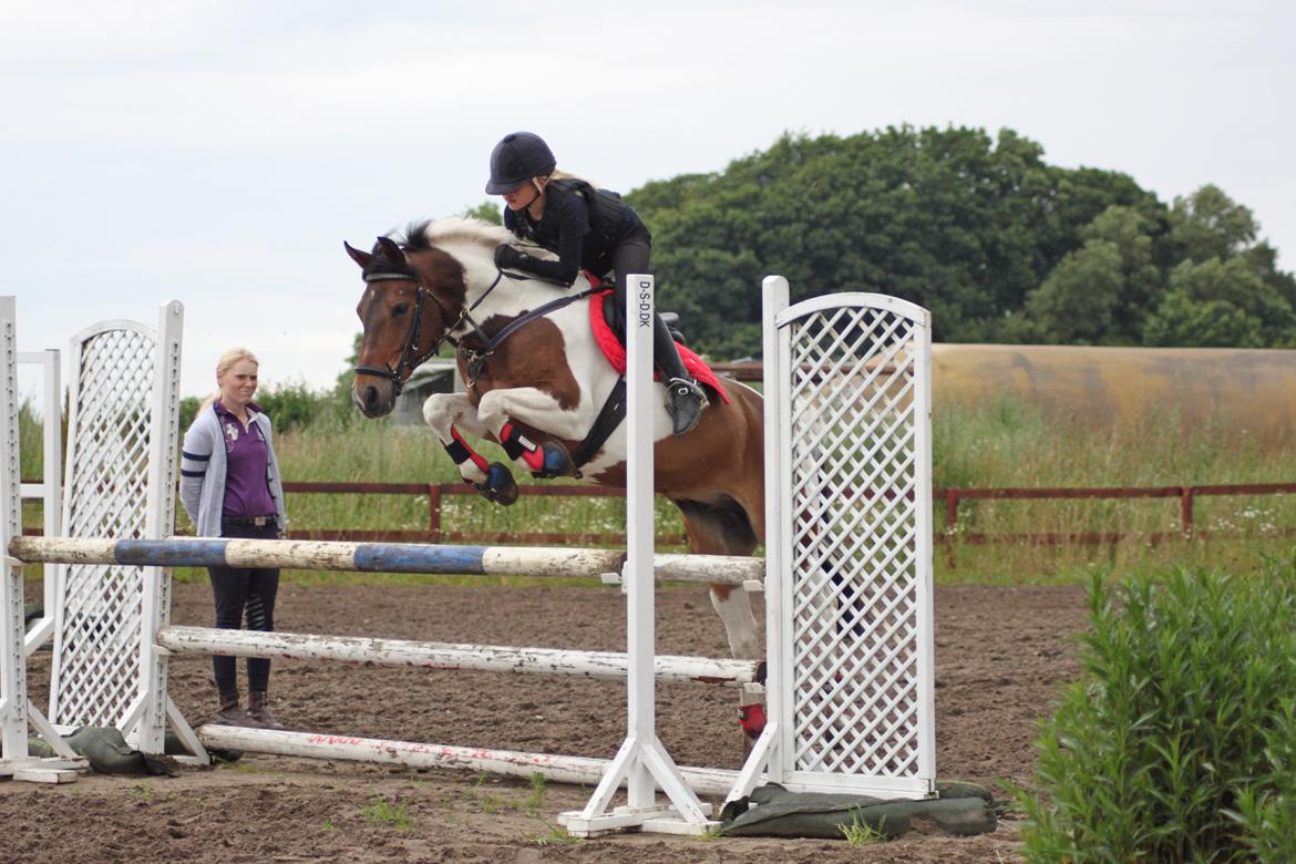 Pinto Spirit billede 1