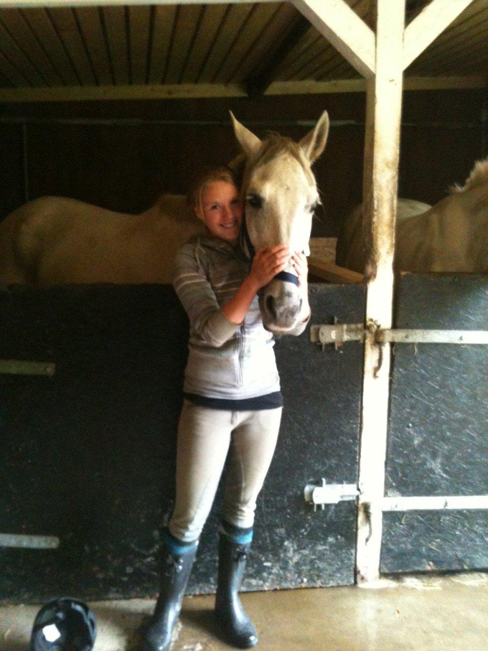 Andalusier Django - Minskat er godt og grundig bedøvet.. billede 10