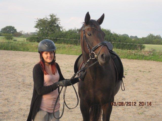 Dansk Varmblod Poppelgaardens Penelope - Du tar mig til stjernerne<3 billede 6