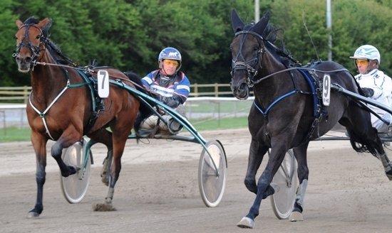 Traver Arcana Cabana (Hanky Panky I Am) billede 1