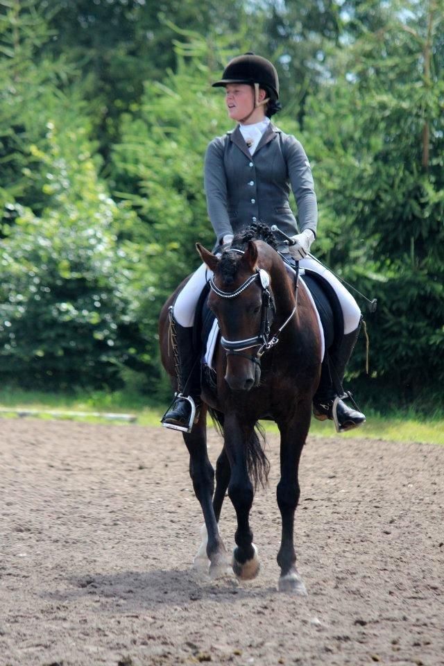 New Forest Stackarps Pablo - LA1 hold til ponyuge 2012 - videre til finalen. Samlet 5 plads ud af 13 hold. billede 13