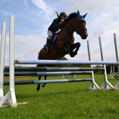 New Forest Enggårdens Conrad billede 10