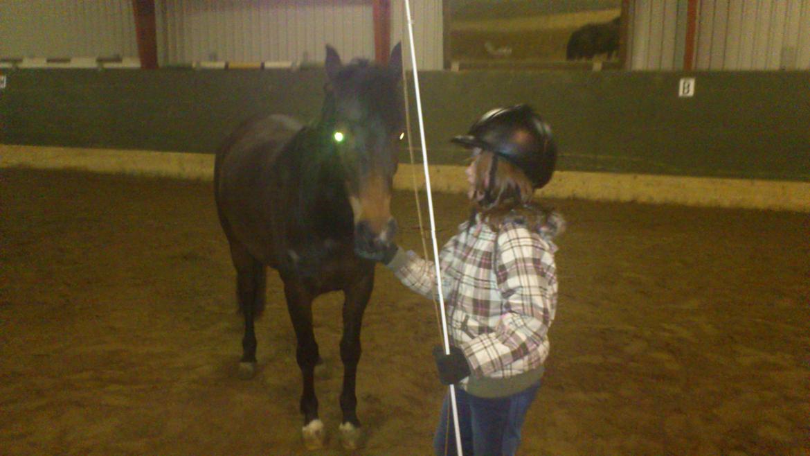 Anden særlig race Solgt koh-I-Noor  billede 6