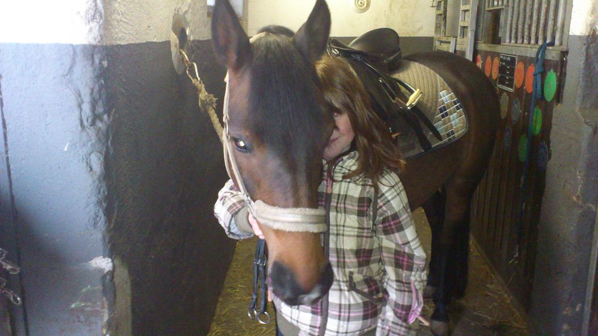 Anden særlig race Solgt koh-I-Noor  billede 4