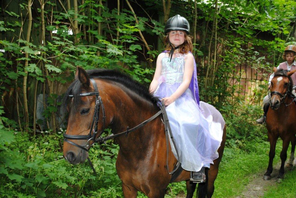 Anden særlig race Solgt koh-I-Noor  billede 2