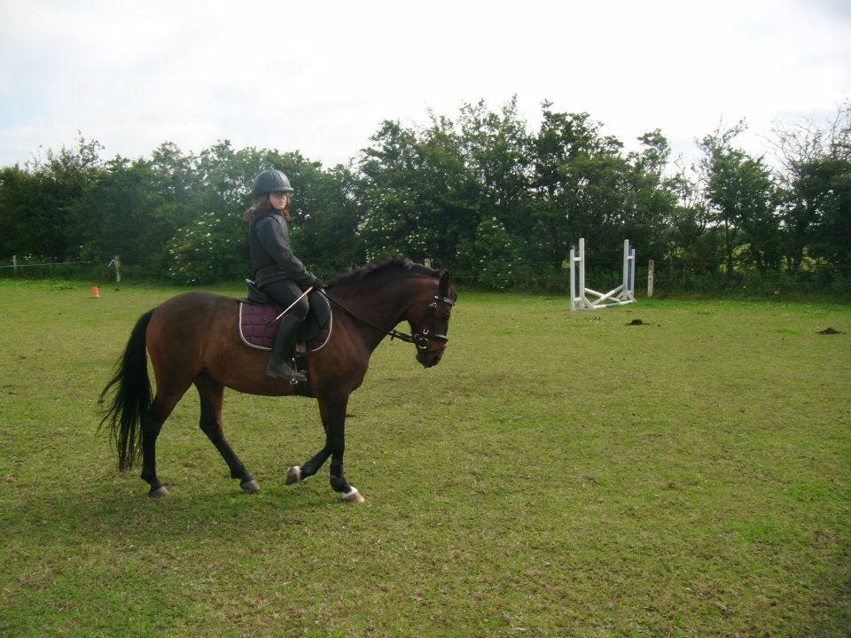 Anden særlig race Solgt koh-I-Noor  billede 13