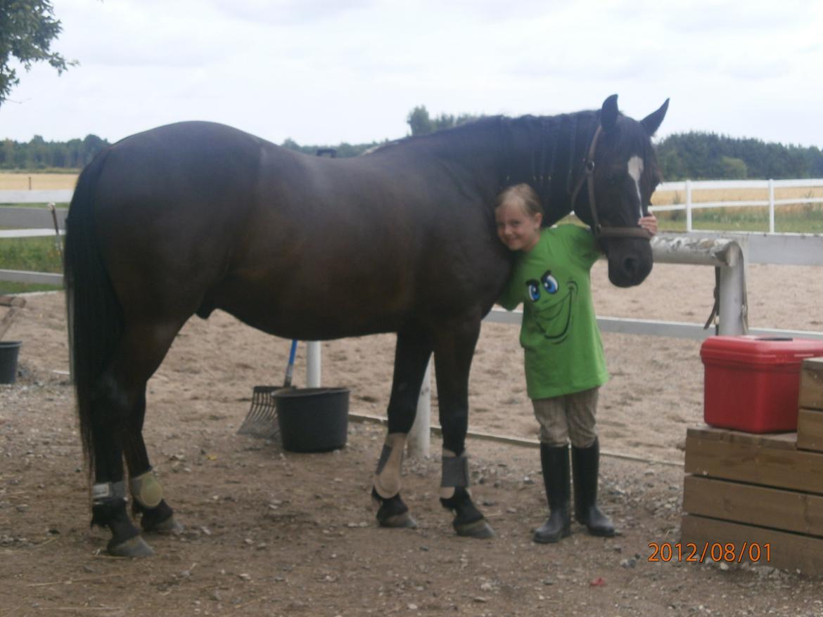 Svensk Sportspony  Blackie brown - Silvia6Black´sen, den dag havde Silvia vundet en SommerSumarrium t-shirt hun har på, på billedet, meget stolt :) billede 9