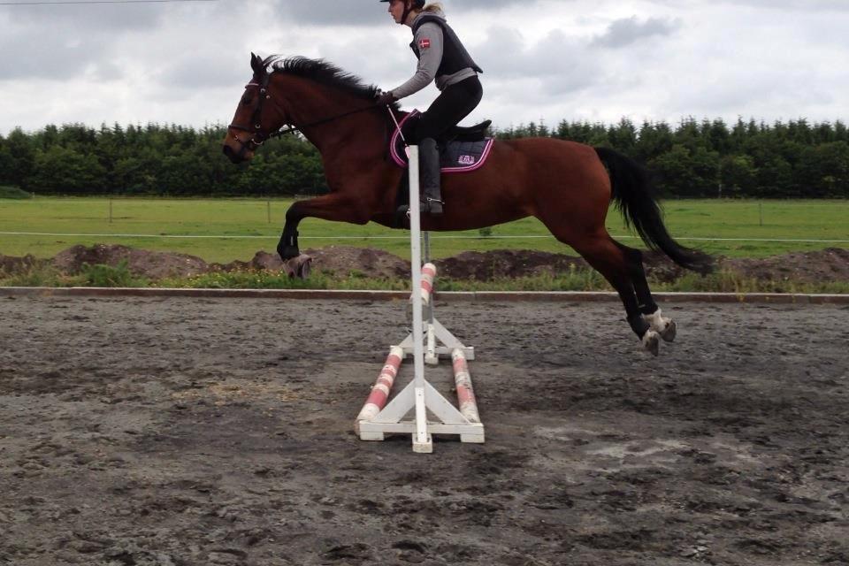 Anden særlig race Nikita   *TUTTE*   >>VBH<< - 18/ Min stjerne og Eva. TRONSØSKOLEN 11/12! 
(foto: mig) billede 18