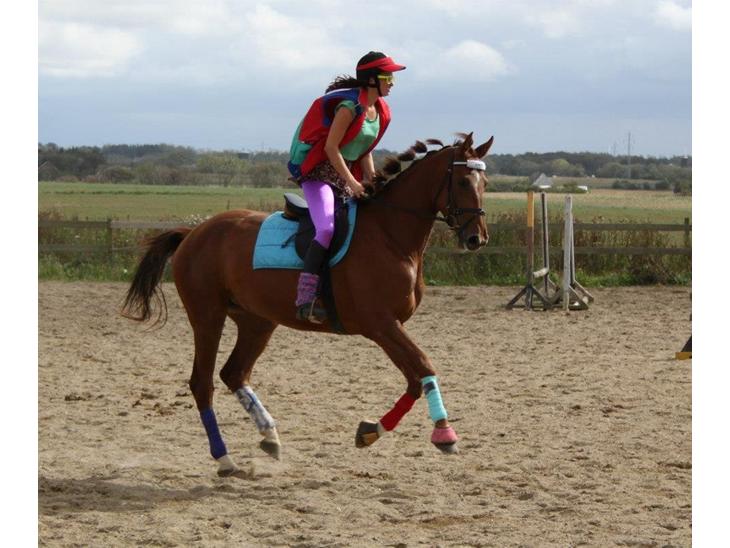 {{currentPhoto.altText}} billede {{currentPhoto.number}}