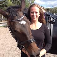 Oldenborg Dinah Forneby