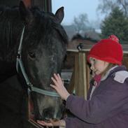 Anden særlig race Rainbow