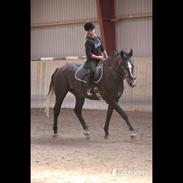 Anden særlig race Cortes |Min bedre halvdel| <3