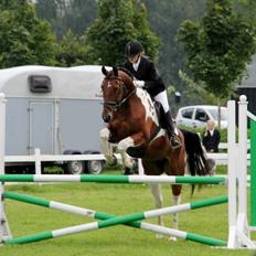 Anden særlig race Hoelgaards Yacardi Tess