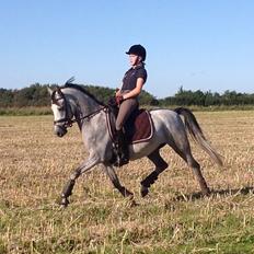 Anden særlig race Milano<3333