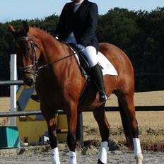 Oldenborg Okholms Caranya