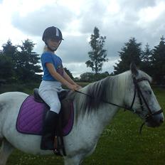 Anden særlig race skyttehuset´s paletti (popsen)