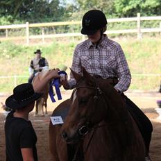 Paint Gambler's Harlequin