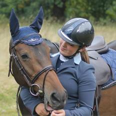 Irsk Sportspony Beigh Castle