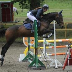 Irsk Sportspony Beigh Castle