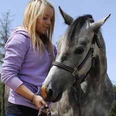 Anden særlig race Grønvangs Fleur de Lis