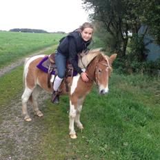Anden særlig race Valdemar