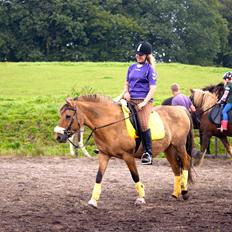 Anden særlig race Penny [Min eneste ene]
