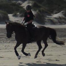 Anden særlig race Nagengaard´s Cesare A-pony <3 -Rides af min søster