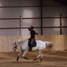 Knabstrupper Lurifax<3  *My soulmate!<3*