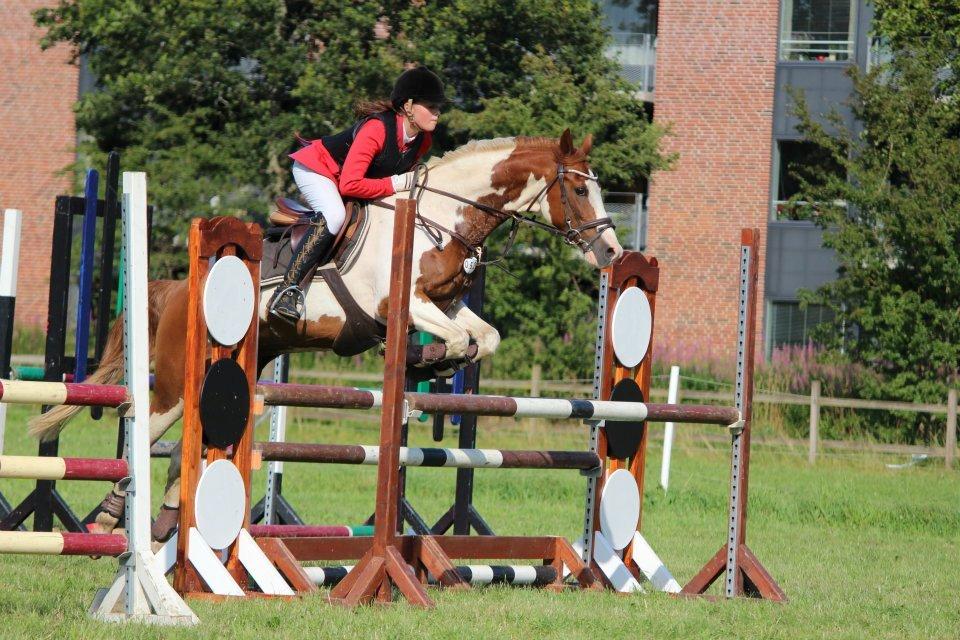 Anden særlig race ». Chicago. - LA ponyuge 2012 billede 19