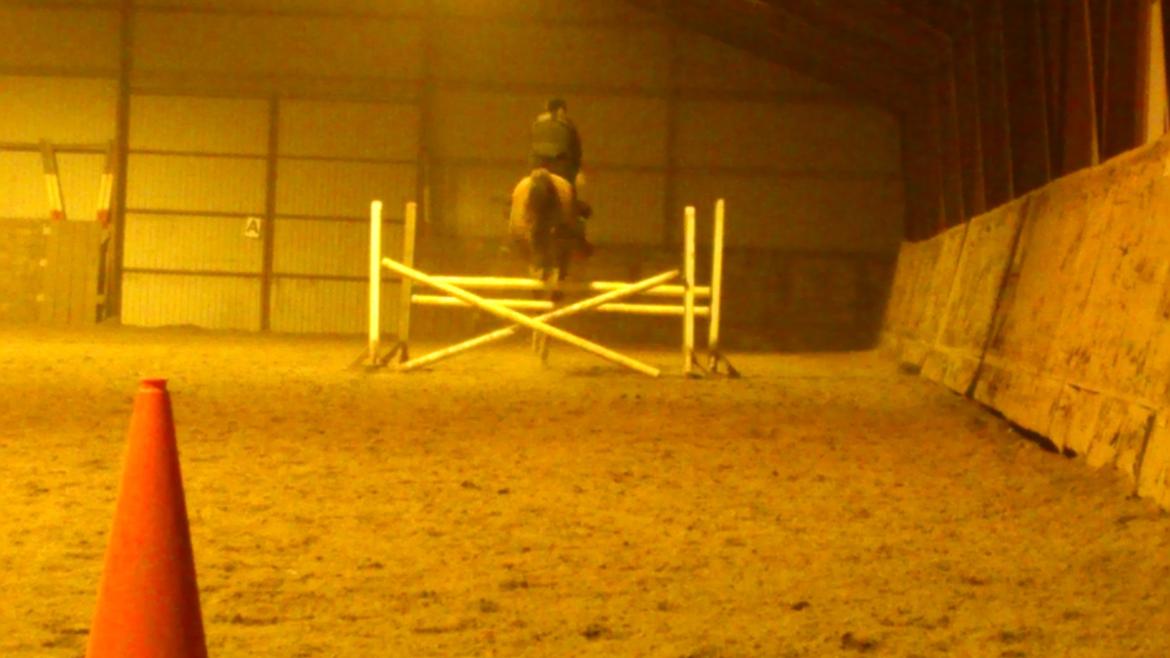 Holstener Aragorn billede 7