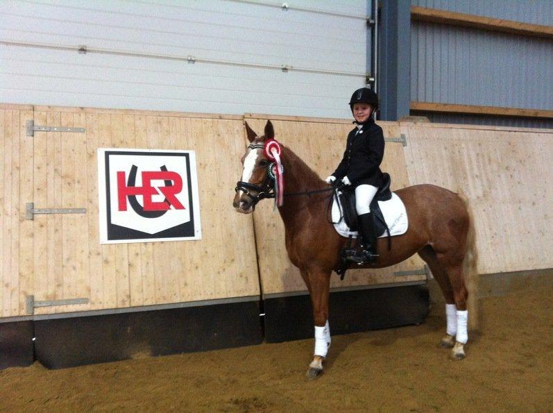 Anden særlig race Beauty - Første stævne :-) billede 2