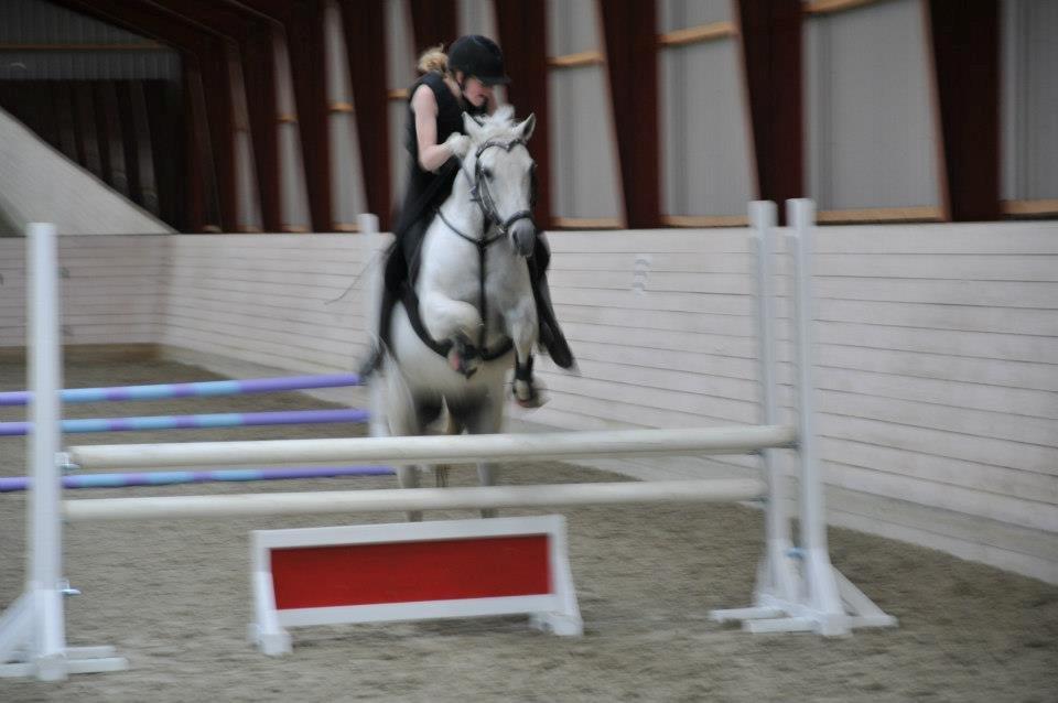 Tysk Sportspony Freja *SOLGT* :'( - I will always love you <3 billede 17