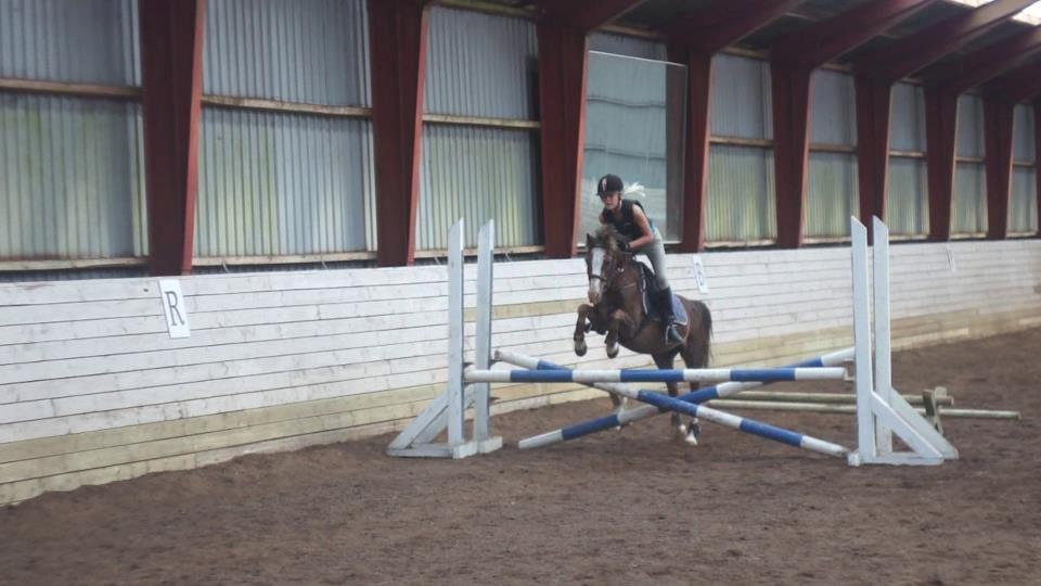 Welsh Mountain (sec A) Petra’s Dienie (Daisy) <3 - Springtræning billede 9