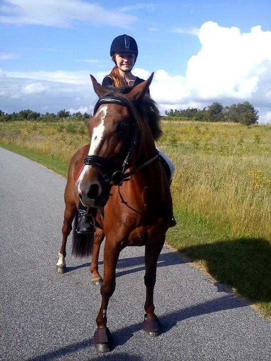 Standardbred Jaqueline Egely "Luna" - Emilie & Luna på tur i det blå :-) billede 15