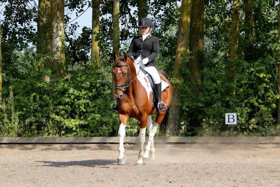 Anden særlig race Hoelgaards Yacardi Tess - D. 02-09-2012 billede 6