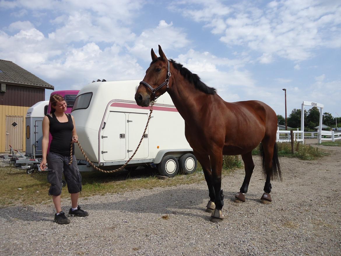 Oldenborg Cappútino RIP - Cappu inden stævnet. billede 20