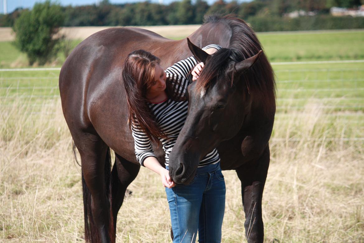Oldenborg | Svalegaardens Indy - Sensommer hygge med Indy <3 billede 1